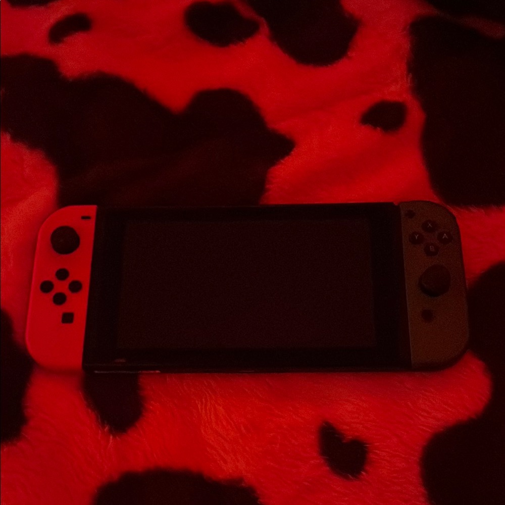 Nintendo Handheld Console Red and Gray